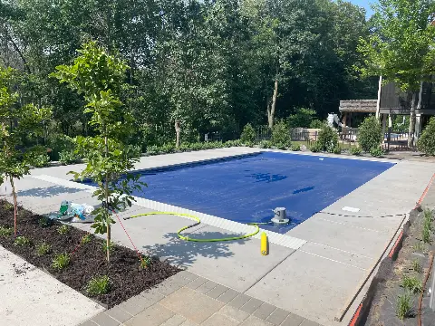 In-ground pool surrounded by concrete and landscaped garden